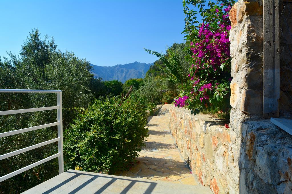 Villa Goxhi บอร์ช ห้อง รูปภาพ