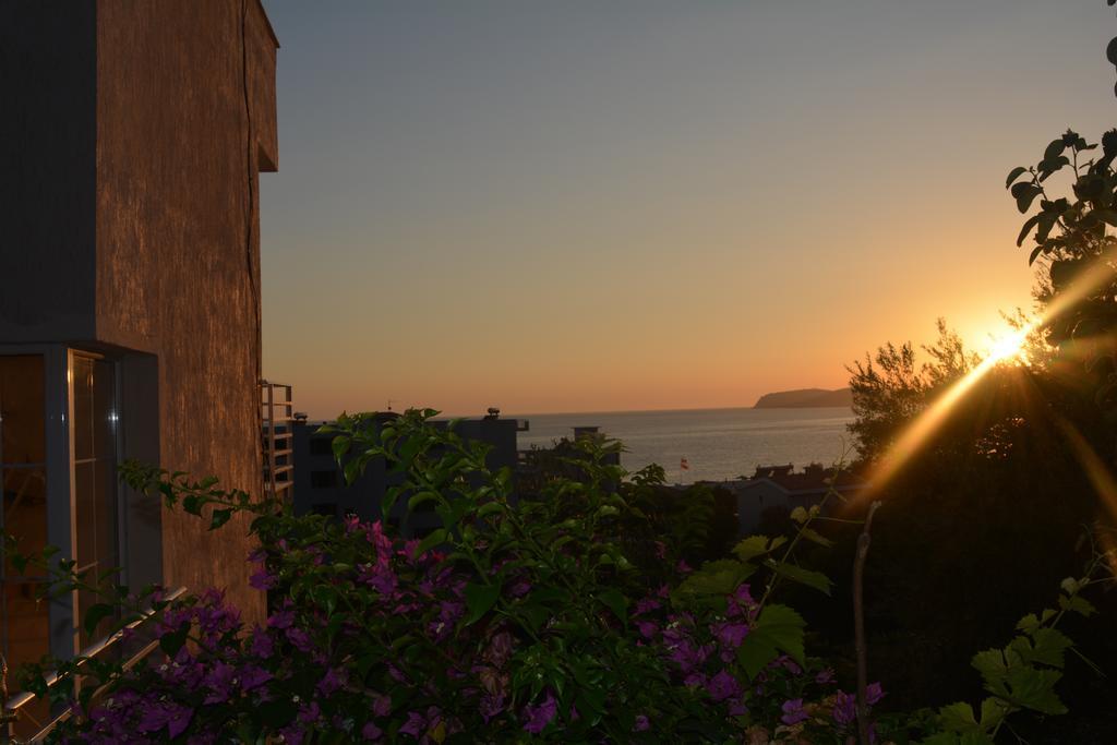Villa Goxhi บอร์ช ห้อง รูปภาพ